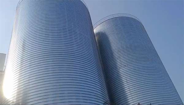 前郭2座混凝土高架卷板仓